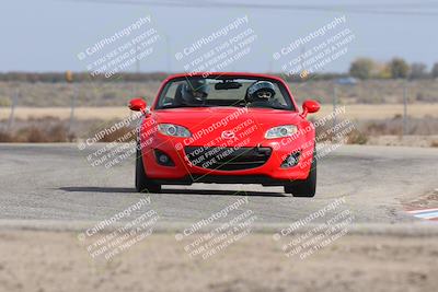 media/Nov-02-2025-Lotus Club of SoCal (Sun) [[dc384ab7f7]]/Novice Group/Cotton Corners/